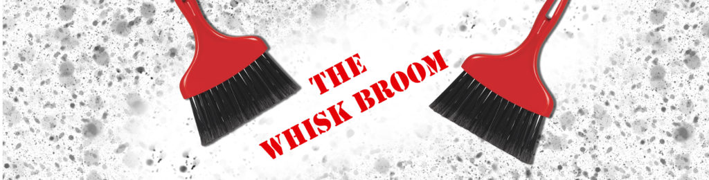 whisk-broom-professional-detailing-products-because-your-car-is-a